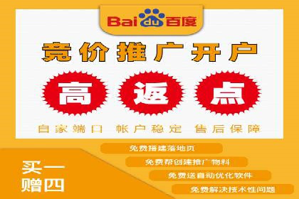 竞价排名广告投放案例